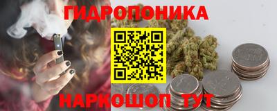 гашик Бузулук