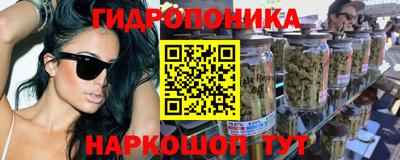 гашик Бузулук