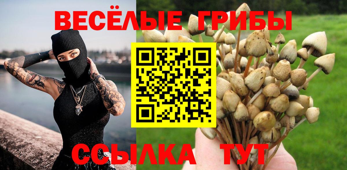 Галлюциногенные грибы Cubensis Чебоксары